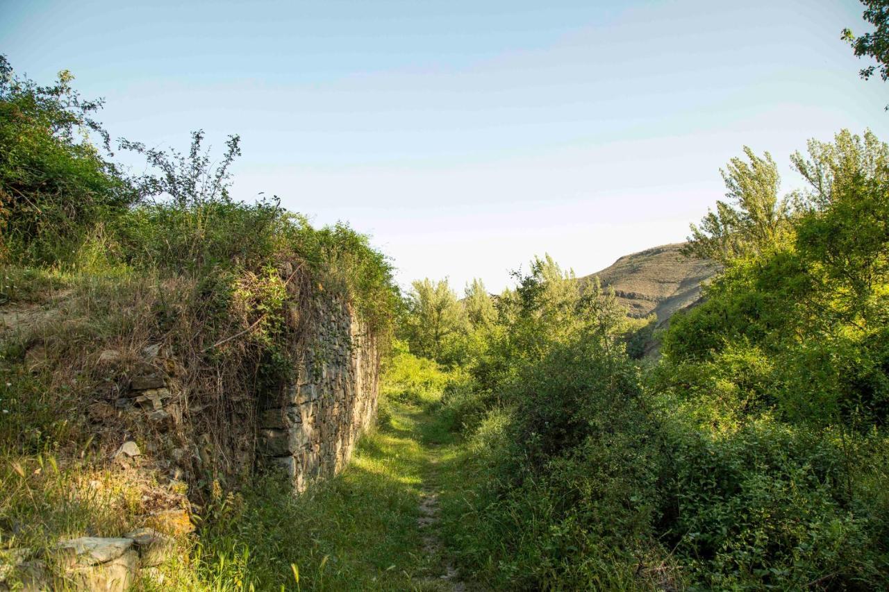 Casa Rural El Huerto De La Fragua Affittacamere Enciso Esterno foto