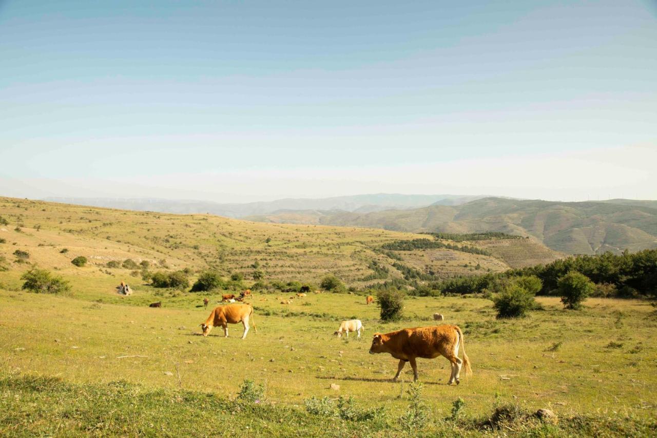 Casa Rural El Huerto De La Fragua Affittacamere Enciso Esterno foto