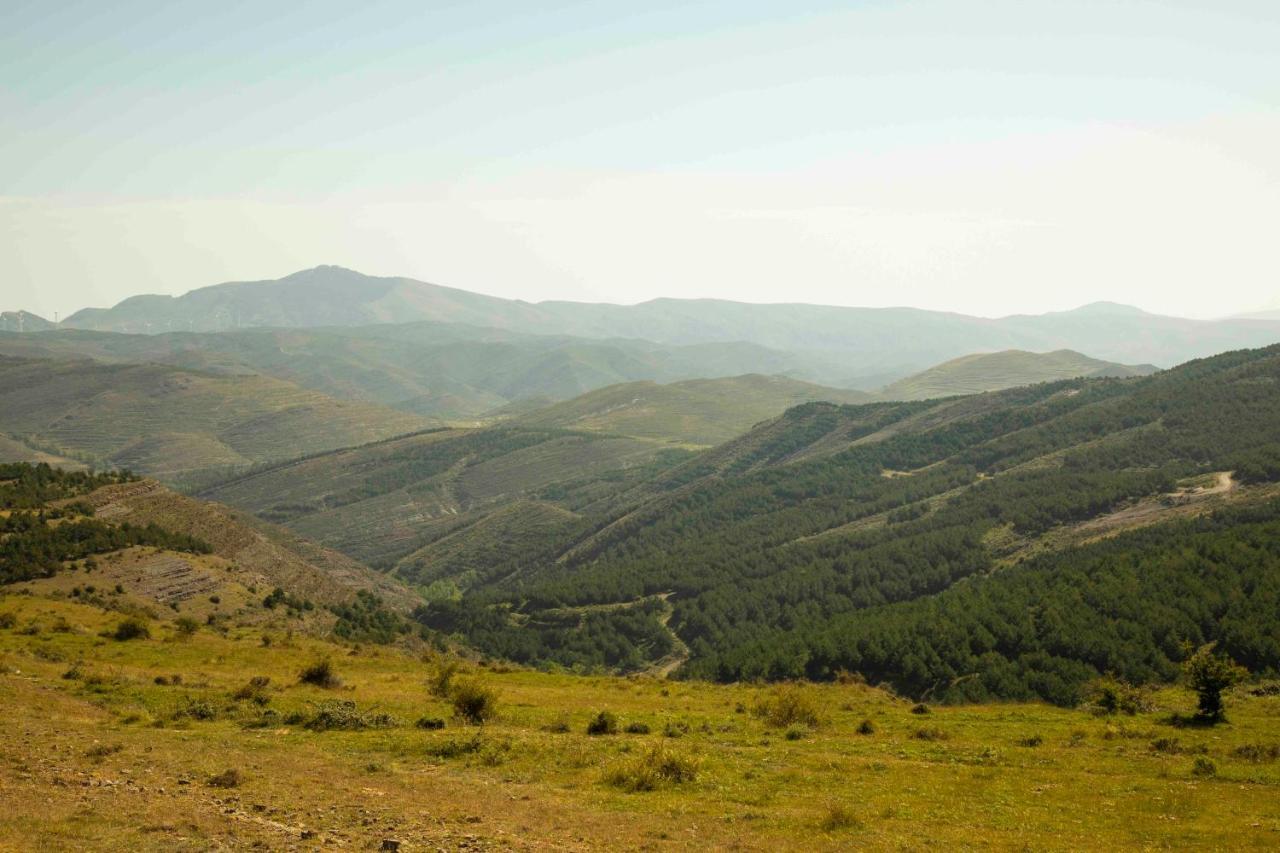 Casa Rural El Huerto De La Fragua Affittacamere Enciso Esterno foto