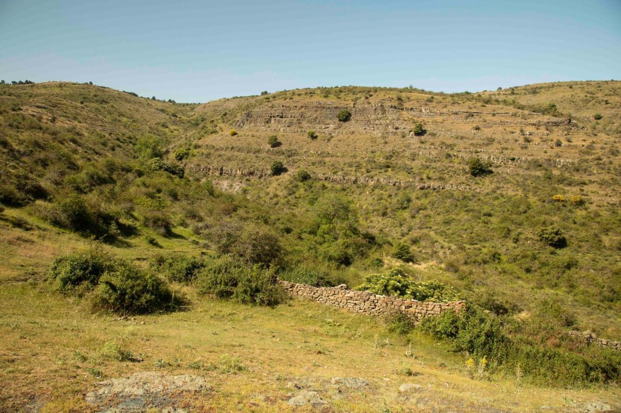 Casa Rural El Huerto De La Fragua Affittacamere Enciso Esterno foto